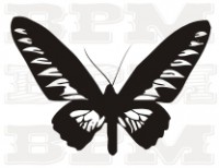 /album/fotogaleria-hmyz/hmyz-8-jpg/